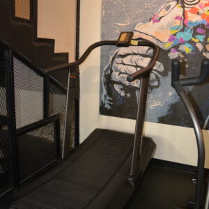 Pre-Owned Precor Assault AirRunner