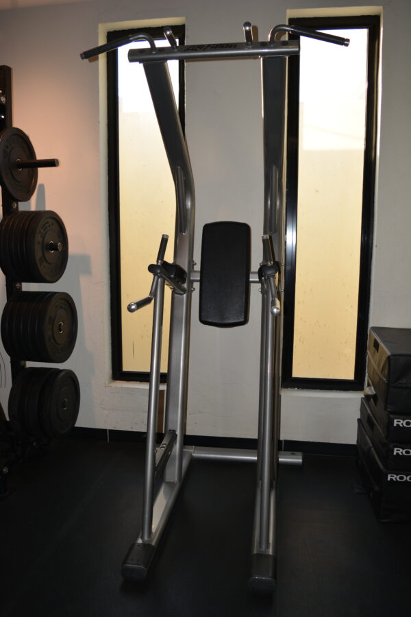 Pre Owned Life Fitness SIGNATURE SERIES CHIN/DIP/LEG RAISE